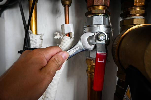 Best Shower Repair Services  in Stanley, ND